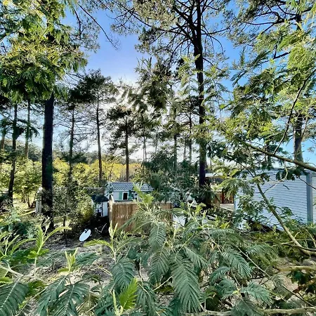 Tiny House Famille Nature Cap Ferret