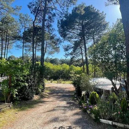 Tiny House Famille Nature Cap Ferret *